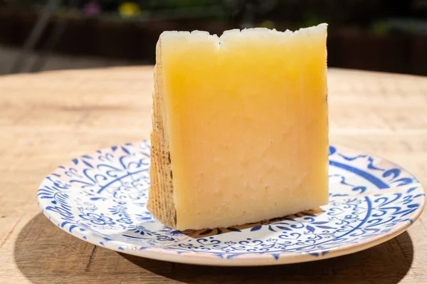 Peynir Koleksiyonu Bir Parça Ispanyol Sert Manchego Peyniri Mancha Bölgesinde — Stok fotoğraf