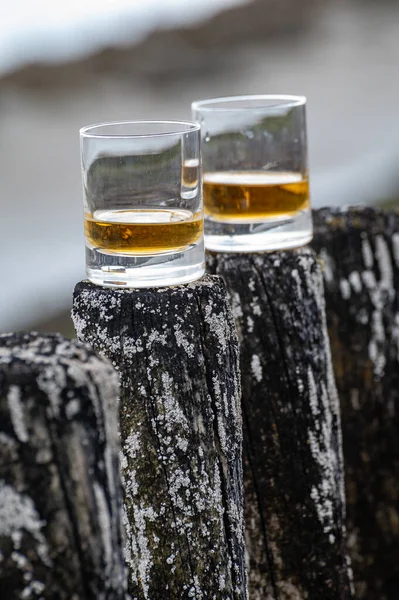 Verkostung Von Dram Single Malt Scotch Whisky Der Küste Schottlands — Stockfoto