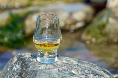 İskoç viskisi ve mavi denizin arkaplanda taş ve istiridye, İskoçya 'da özel viski turları.