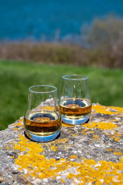 Proeverij Van Single Malt Blended Scotch Whisky Met Uitzicht Zee — Stockfoto