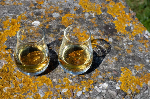 Ochutnávka Čistého Sladu Míchané Skotské Whisky Venkovní Soukromé Whisky Zájezdy — Stock fotografie