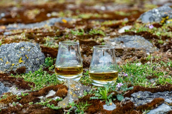 Degustación Whisky Escocés Malta Simple Mezclado Con Rocas Flores Sobre — Foto de Stock