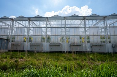 Agriculture in Netherlands, big glass greenhouses used for growing organic vegetables and fruits, flowers in Zeeland clipart