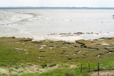 Zeeland 'in deniz kıyısındaki panoramik manzara, alçak gelgit sırasında, Hollanda' nın doğası
