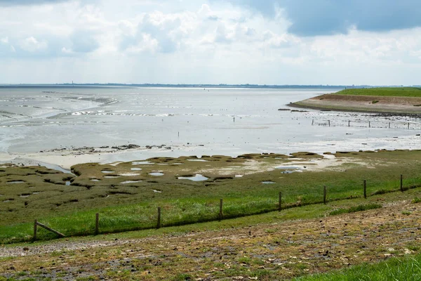 Panoramic View Sea Coast Province Zeeland Low Tide Nature Netherlands — Stock Photo, Image