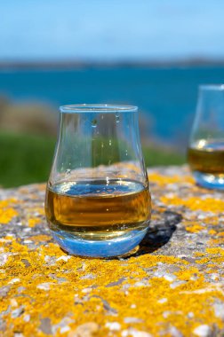 Tek malt viski ve karışık viski tadı mavi deniz, okyanus ya da nehir manzaralı, İskoçya, İngiltere 'de özel viski turları