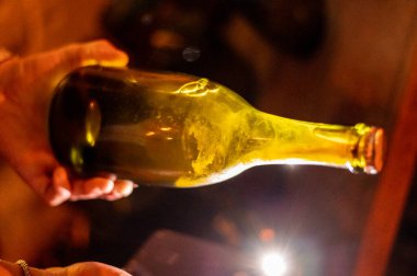 Şişelerdeki mayayı kontrol etmek, şampanya köpürten şarap üretimi karanlık yeraltı mahzenlerindeki raflarda, Reims, Champagne, France