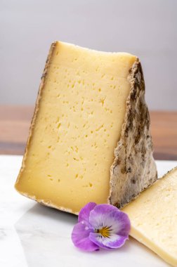 Peynir koleksiyonu, Fransız Alpleri 'ndeki Savoy bölgesinden Tomme de Savoie peyniri, bej rengi ve koyu kahverengi-gri kabuklu yumuşak inek sütü peyniri.