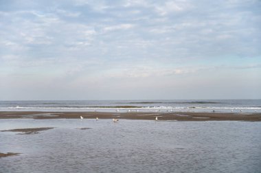 Küçük Belçika kasabası De Haan veya Le Coq sur mer 'deki sarı kumlu sahilde alçak uçuş süresi, lüks tatil beldesi, güneşli bir günde yaz tatili