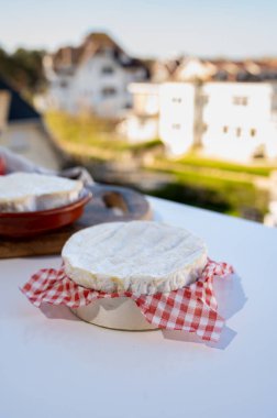 Peynir koleksiyonu, Normandiya 'dan Fransız peyniri, yuvarlak camembert peyniri ve açık havada güneşli bir günde servis edilen kalp şeklinde neufchatel.