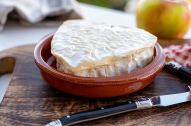 Peynir koleksiyonu, Normandiya 'dan Fransız peyniri, kalp şeklinde neufchatel.