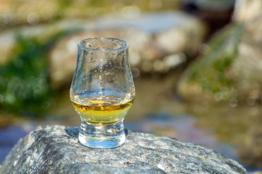 İskoç viskisi ve mavi denizin arkaplanda taş ve istiridye, İskoçya 'da özel viski turları.