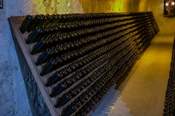 暗い地下のセラー ランス シャンパン フランスのラックのボトルでシャンパン輝くワイン生産 — ストック写真