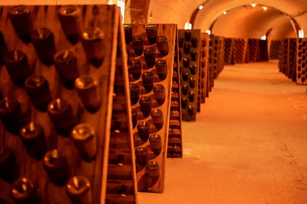 Produção Vinho Espumante Champanhe Garrafas Prateleiras Cave Subterrânea Escura Reims — Fotografia de Stock