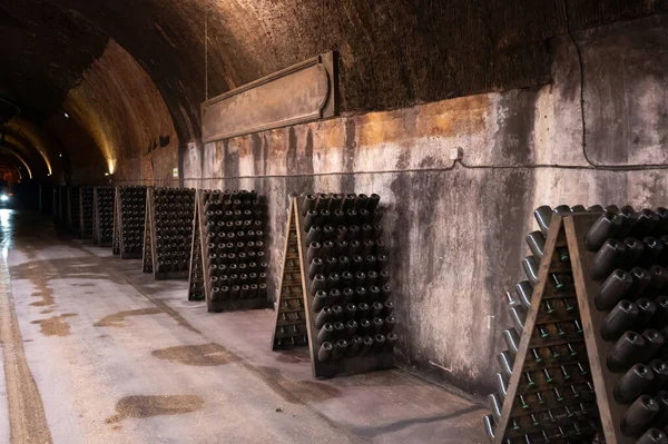 暗い地下のセラー ランス シャンパン フランスのラックのボトルでシャンパン輝くワイン生産 — ストック写真