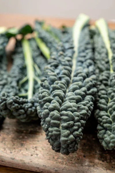 Vegetarian cooking with black flat leaves of cavolo nero tuscan cabbage