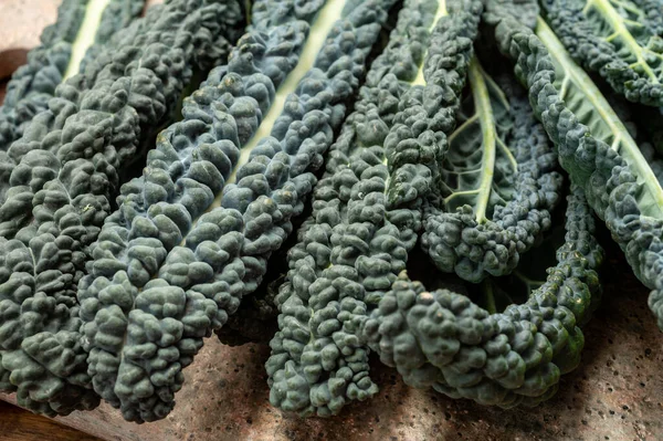 Vegetarische Küche Mit Schwarzen Flachen Blättern Von Cavolo Nero Toskanischem — Stockfoto