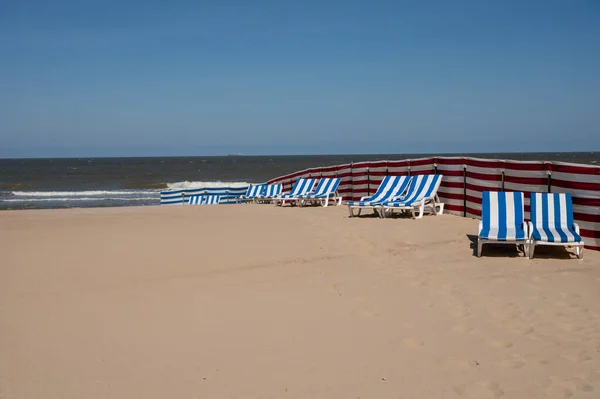 Κενές Μπλε Άσπρες Ξαπλώστρες Κίτρινη Αμμώδη Παραλία Στη Μικρή Βελγική — Φωτογραφία Αρχείου