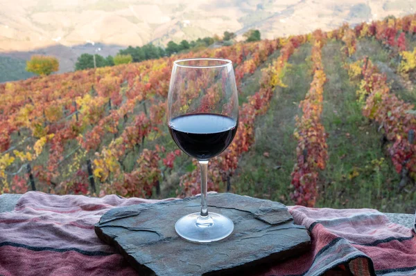 Bicchiere Vino Rosso Portoghese Secco Prodotto Valle Del Douro Colorati — Foto Stock