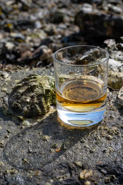 Verkostung Von Single Malt Oder Blended Scotch Whisky Und Meeresboden — Stockfoto