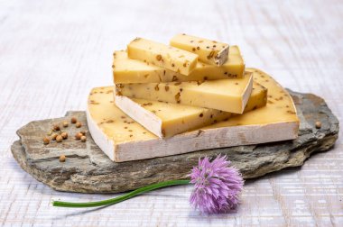 Peynir koleksiyonu, olgun sarı inek peyniri ve Belçika 'dan hardal tohumları.