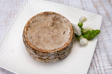 Peynir koleksiyonu, olgun inek peyniri, Fransa 'dan gelen mantarlı tommette de savoie, Alp dağlarında yapılan peynir.