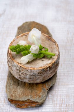 Peynir koleksiyonu, olgun inek peyniri, Fransa 'dan gelen mantarlı tommette de savoie, Alp dağlarında yapılan peynir.