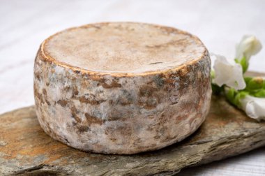 Peynir koleksiyonu, olgun inek peyniri, Fransa 'dan gelen mantarlı tommette de savoie, Alp dağlarında yapılan peynir.