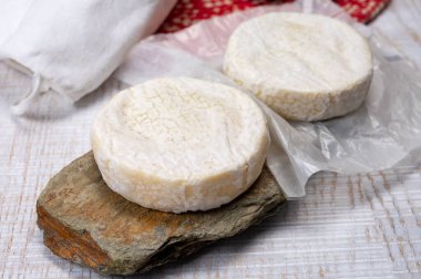 Peynir koleksiyonu, taze, yumuşak inek peyniri, İsviçre küflü, yakın plan.