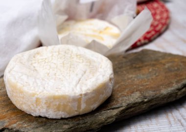 Peynir koleksiyonu, taze, yumuşak inek peyniri, İsviçre küflü, yakın plan.