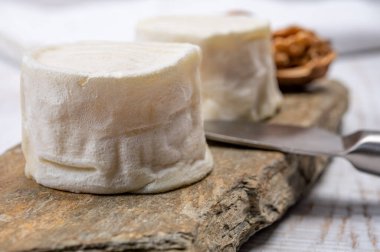 Peynir koleksiyonu, yumuşak keçi peyniri küflü Fransız peyniri. Loire Valley 'de üretilen crottin de Chavignol. Yakın plan.