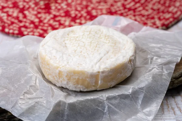 奶酪系列 新鲜的白色软乳酪和瑞士产的霉菌 — 图库照片