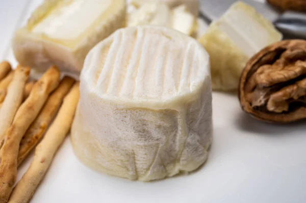 Collezione Formaggi Formaggio Capra Molle Francese Con Crottin Chavignol Muffa — Foto Stock