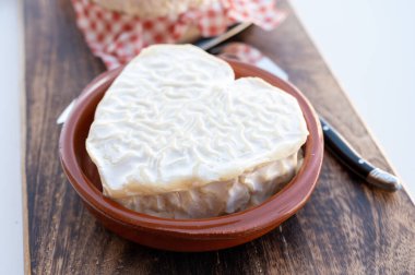 Peynir koleksiyonu, Normandiya 'dan Fransız peyniri, kalp şeklinde neufchatel.