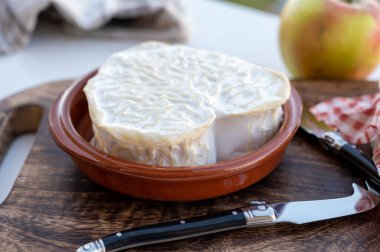 Peynir koleksiyonu, Normandiya 'dan Fransız peyniri, kalp şeklinde neufchatel.