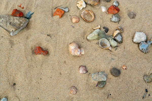 Seashells Praias Areia Amarela Pequena Cidade Belga Knokke Heist Destino — Fotografia de Stock