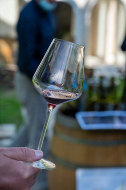 Pahalı kırmızı şarap tatma Pinot noir üzümleri, şarap turizmi Burgundy Cote de Nuits şarap bölgesine, Fransa