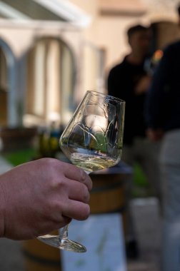 Şarap, şarap, şarap turizmi Fransa 'nın Burgundy Cote de Beaune şarap bölgesine şarap tadında pahalı bir şarap tatmak.