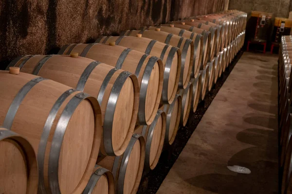 Mantendo Por Anos Vinho Tinto Seco Barricas Carvalho Novo Cavernas — Fotografia de Stock