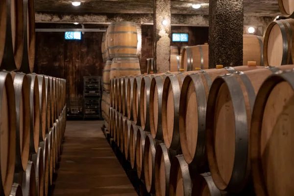 Jarenlang Droge Rode Wijn Bewaren Nieuwe Eiken Vaten Grotten Bourgogne — Stockfoto