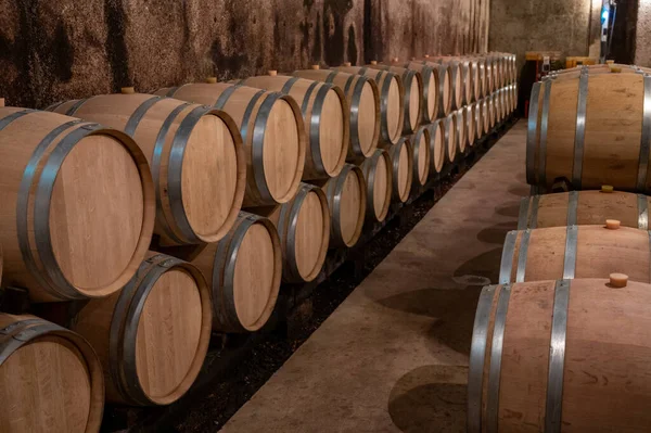 포도로 부르고뉴의 동굴에 새로운 주통에서 동안말린 적포도주를 보관하는 프랑스의 값비싼 — 스톡 사진