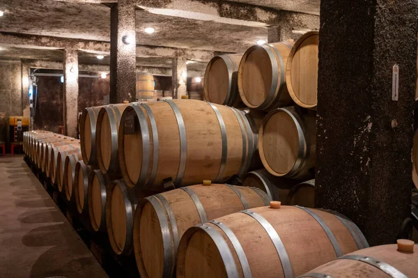 Jarenlang Droge Rode Wijn Bewaren Nieuwe Eiken Vaten Grotten Bourgogne — Stockfoto