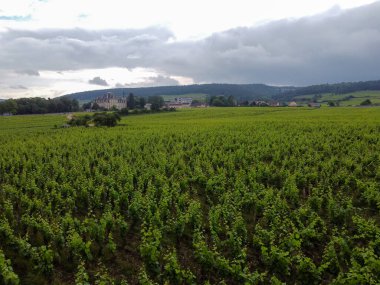 Yeşil Grand Cru ve Fransa 'nın Burgundy bölgesinde kırmızı ve beyaz Burgundy şarabı üreten Cote de nuits' deki Pinot noir üzüm bitkilerinin olduğu başlıca cru üzüm bağlarının Aerian görüntüsü.