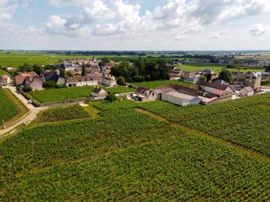 Yeşil Grand Cru ve Fransa 'nın Burgundy bölgesinde kırmızı ve beyaz Burgundy şarabı üreten Cote de nuits' deki Pinot noir üzüm bitkilerinin olduğu başlıca cru üzüm bağlarının Aerian görüntüsü.