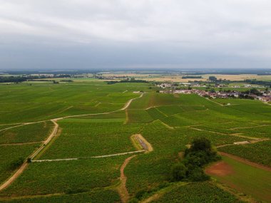 Yeşil Grand Cru ve Fransa 'nın Burgundy bölgesinde kırmızı ve beyaz Burgundy şarabı üreten Cote de nuits' deki Pinot noir üzüm bitkilerinin olduğu başlıca cru üzüm bağlarının Aerian görüntüsü.