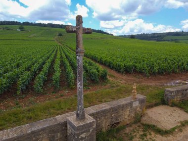 Fransa 'nın doğusundaki Burgundy bölgesinde kırmızı ve beyaz Burgundy şarabı üreten, Cote de nuits' teki Pinot noir üzüm bitkilerinin bulunduğu duvarlı yeşil büyük cru ve başlıca cru üzüm bağlarına Aerian manzarası.