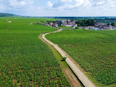 Yeşil Grand Cru ve Fransa 'nın Burgundy bölgesinde kırmızı ve beyaz Burgundy şarabı üreten Cote de nuits' deki Pinot noir üzüm bitkilerinin olduğu başlıca cru üzüm bağlarının Aerian görüntüsü.