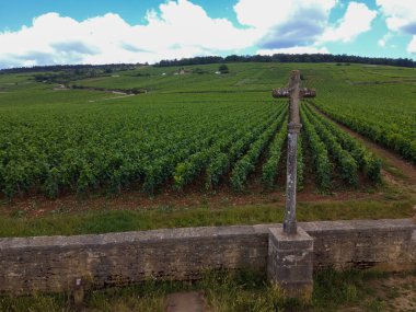 Fransa 'nın doğusundaki Burgundy bölgesinde kırmızı ve beyaz Burgundy şarabı üreten, Cote de nuits' teki Pinot noir üzüm bitkilerinin bulunduğu duvarlı yeşil büyük cru ve başlıca cru üzüm bağlarına Aerian manzarası.