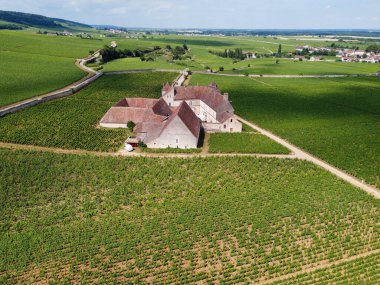 Yeşil Grand Cru ve Fransa 'nın Burgundy bölgesinde kırmızı ve beyaz Burgundy şarabı üreten Cote de nuits' deki Pinot noir üzüm bitkilerinin olduğu başlıca cru üzüm bağlarının Aerian görüntüsü.