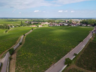 Yeşil Grand Cru ve Fransa 'nın Burgundy bölgesinde kırmızı ve beyaz Burgundy şarabı üreten Cote de nuits' deki Pinot noir üzüm bitkilerinin olduğu başlıca cru üzüm bağlarının Aerian görüntüsü.